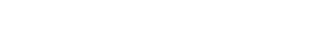 Nordisk Bergteknik vit logotyp